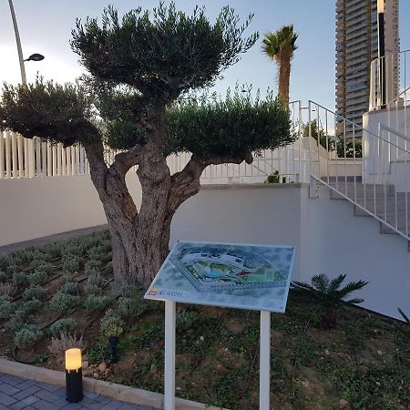 Romero Apartments-Sunset Waves-Benidorm Extérieur photo